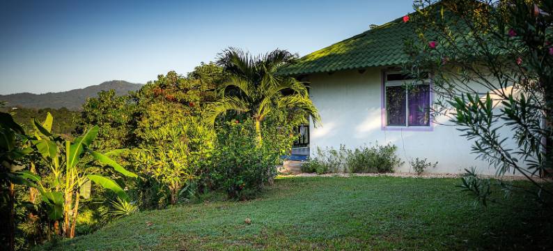 劳雷莱斯民宿(Casa Laureles)图片