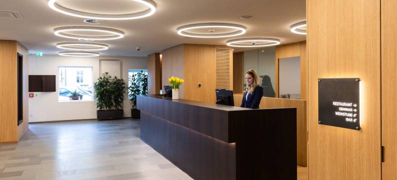 梅斯梅尔酒店(Hotel Messmer)图片