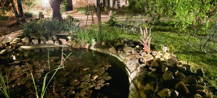 Harzhotel Warnstedter Krug图片