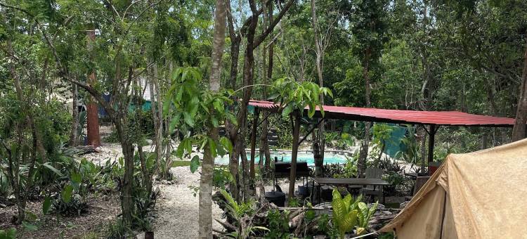 科苏梅尔露天睡眠(Cozumel Glamping)图片