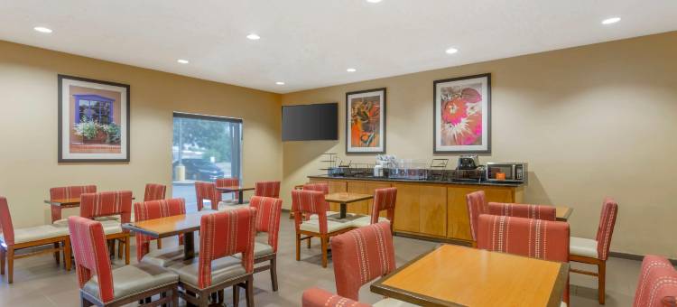 索科罗舒适套房酒店(Comfort Inn & Suites)图片