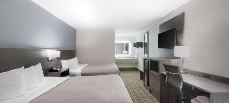 市中心旅馆及开间套房(Downtown Inn & Studio Suites)图片