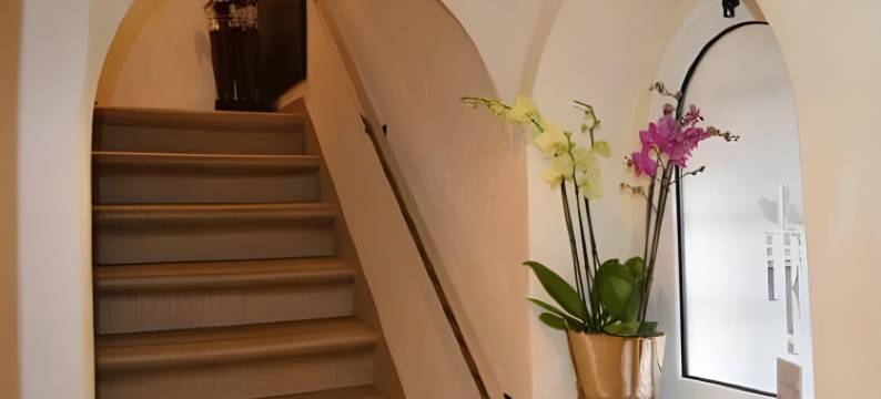 艾斯费里奥思豪华酒店(Les Fleurs Luxury House)图片