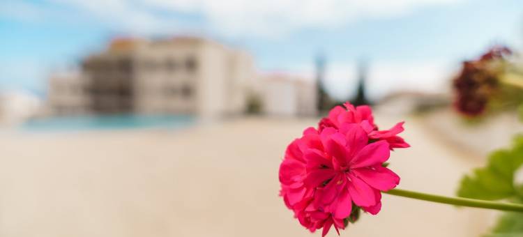 GuestReady - 丰沙尔放松身心的理想之地公寓(GuestReady - the Perfect Place to Relax in Funchal)图片