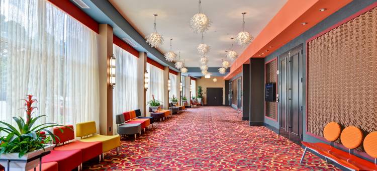 克拉布特里欢朋套房酒店(Hampton Inn & Suites Raleigh/Crabtree Valley)图片