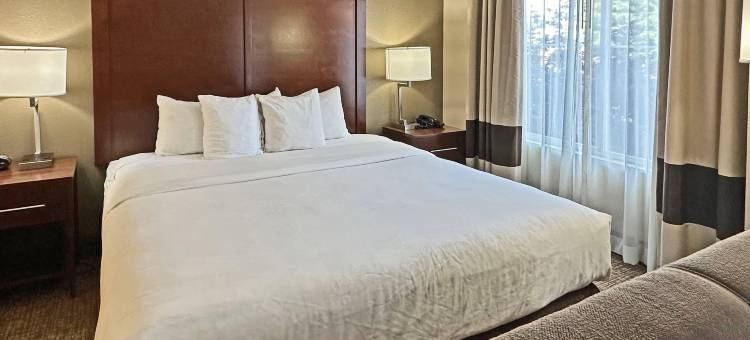 康科德市洲际套房酒店(Concord Suites by IHG)图片