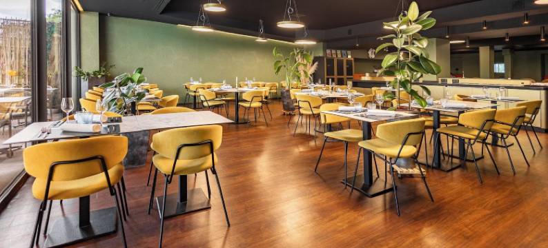 科尔马东英式酒店及水疗(Brit Hotel, Spa & Restaurant - Colmar Est)图片