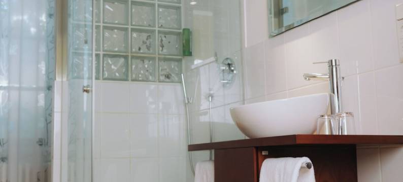 斯维林登酒店(Hotel ZweiLinden Meckenheim Bonn)图片