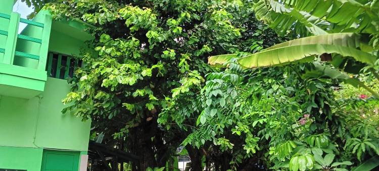 OYO 94778 七号公寓(OYO 94778 Seven Residence)图片