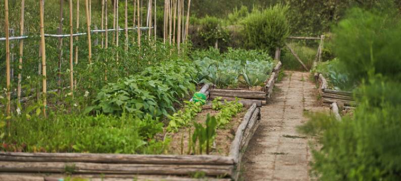 波吉欧皮里亚酒店(Poggio Piglia)图片