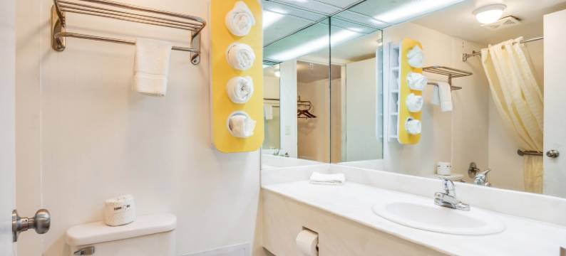 OYO马斯基根莫娜湖酒店(OYO Hotel Mona Lake Muskegon)图片