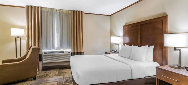 锡代利亚站舒适酒店(Comfort Inn Sedalia Station)图片