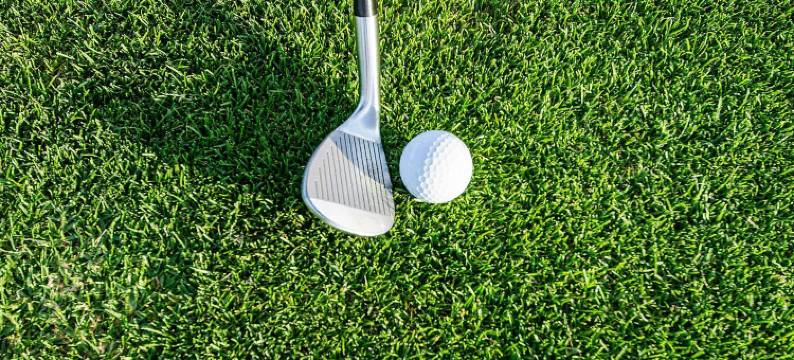 索菲特比亚里茨米拉马尔海洋疗养酒店(Sofitel Biarritz le Miramar Thalassa Sea & Spa)图片