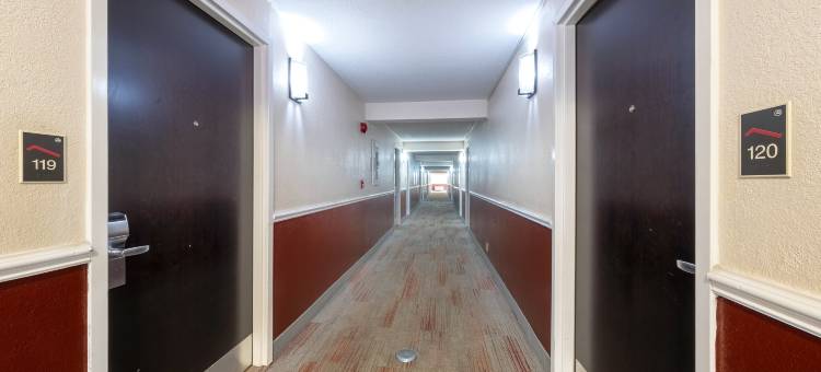 兰伯顿红屋顶酒店(Red Roof Inn Lumberton)图片