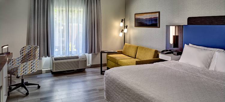 希尔顿欢朋酒店-加特林堡历史自然路径(Hampton Inn Gatlinburg Historic Nature Trail)图片