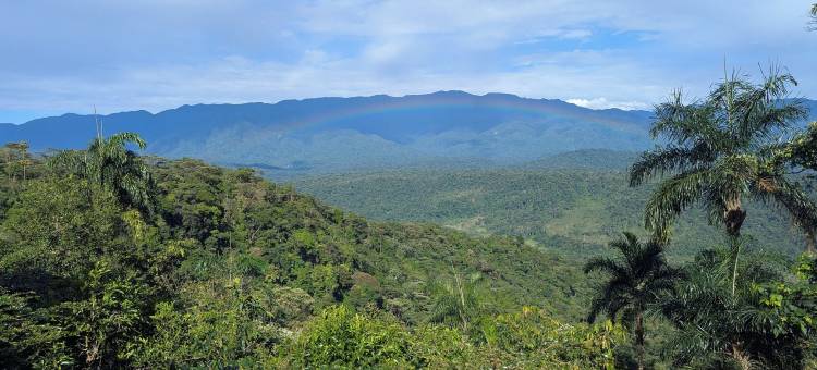 Vibra 疗愈小屋和水疗中心(Vibra Wellness Hotel y Spa)图片