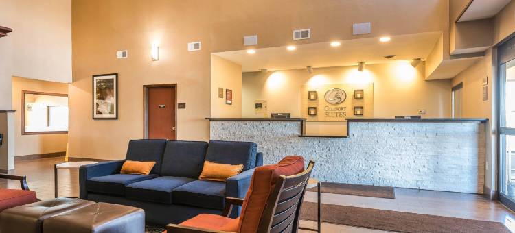 北部舒适套房酒店(Comfort Suites North)图片