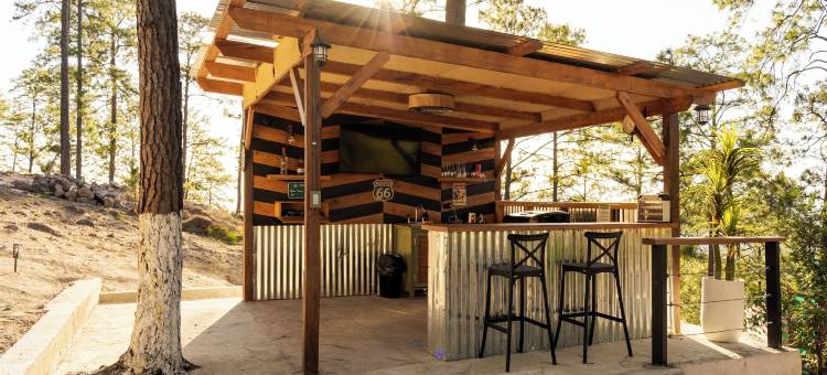 小松树豪华露营(Tiny Pines Glamping)图片