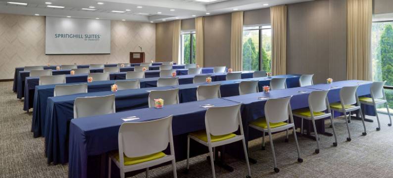 黑格斯敦万豪SpringHill酒店(SpringHill Suites Hagerstown)图片