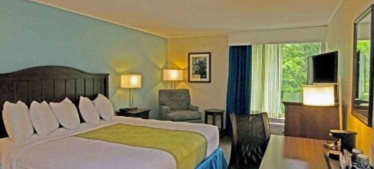 威廉斯堡历史区贝斯特韦斯特酒店(Best Western Williamsburg Historic District)图片