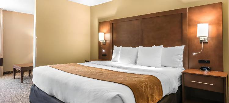 贝梅度斯靠近巴特勒大道舒适套房酒店(Comfort Suites Baymeadows Near Butler Blvd)图片