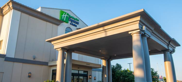 克利奇站智选假日套房酒店(Holiday Inn Express & Suites COLLEGE STATION by IHG)图片