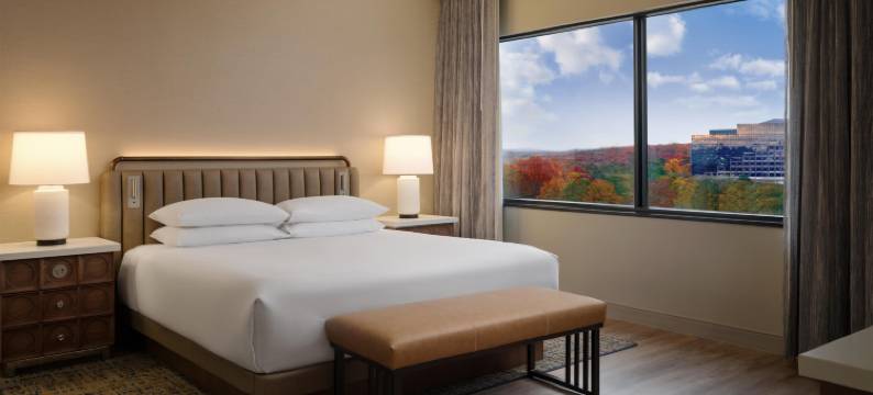 亚特兰大西北凯悦套房酒店(Hyatt Regency Suites Atlanta Northwest)图片