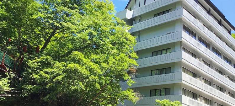 利夫马克斯度假酒店 川俣温泉(Hotel Livemax Resort Kawamata Onsen)图片