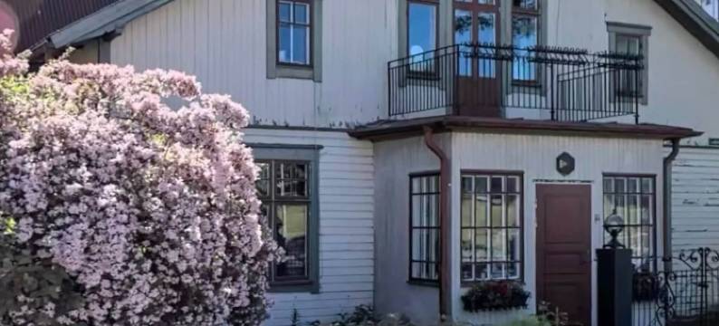 安妮的灯光古董之家(Annies Light Antique House)图片