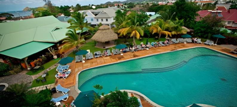 可可棕榈(Coco Palm)图片