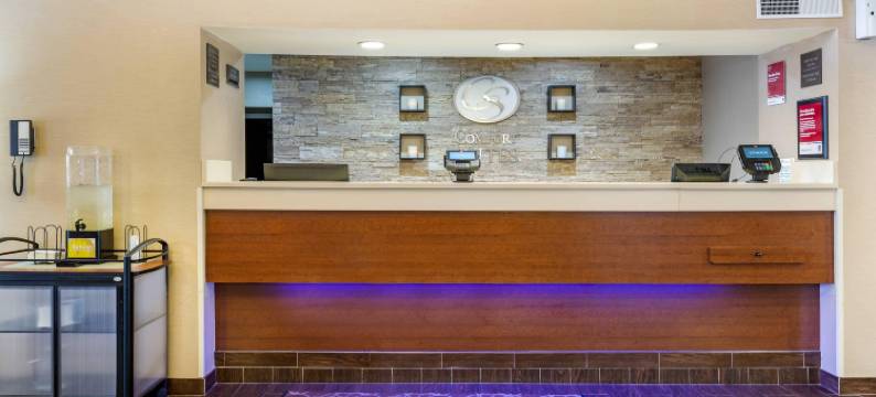 康福特套房多佛大学区(Comfort Suites Dover University Area)图片