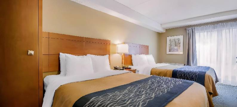 舒适酒店(Comfort Inn)图片