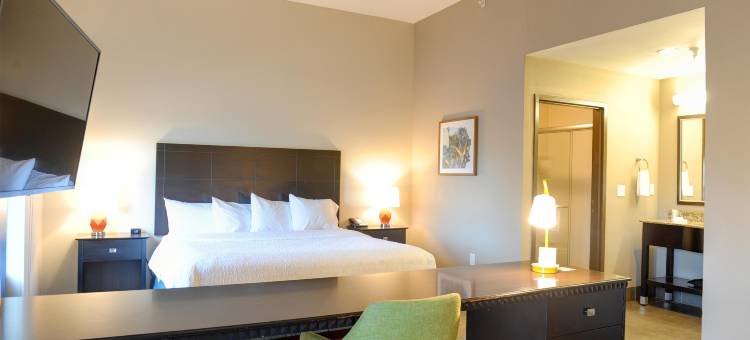 希尔顿欢朋酒店-克里斯特尔里弗(Hampton Inn Crystal River)图片