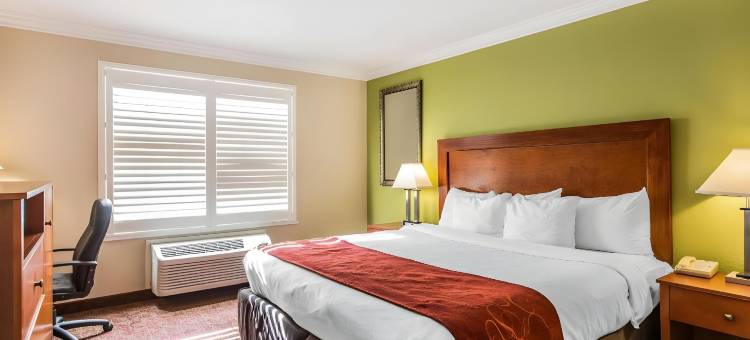 弗雷斯诺河滨公园舒适套房酒店(Comfort Suites Fresno River Park)图片