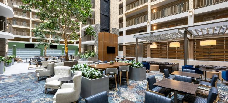 布卢明顿伊代纳希尔顿安泊酒店(Embassy Suites by Hilton Bloomington Edina)图片