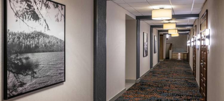 布卢明顿伊代纳希尔顿安泊酒店(Embassy Suites by Hilton Bloomington Edina)图片