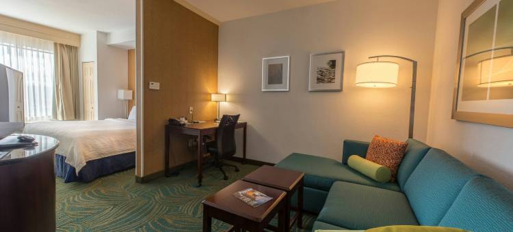 里奇克莱斯特SpringHill Suites酒店(SpringHill Suites Ridgecrest)图片