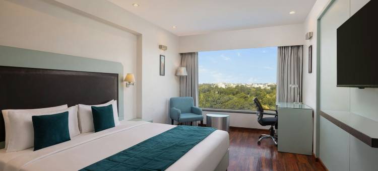 费恩焦特布尔居所酒店 - 万豪系列(The Fern Residency Jodhpur, Series by Marriott)图片