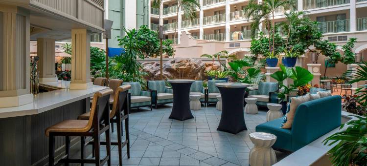 赛普里斯克里克喜来登套房酒店(Sheraton Suites Fort Lauderdale at Cypress Creek)图片