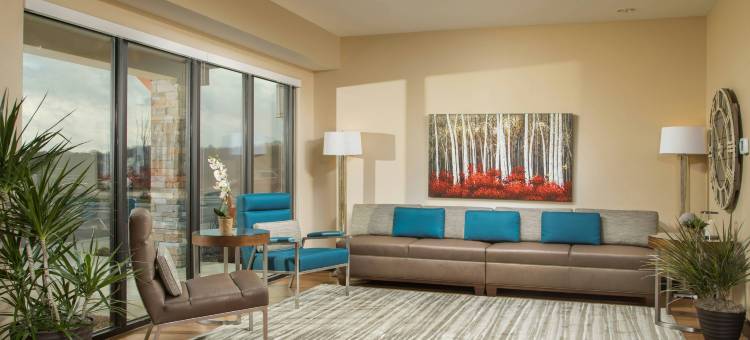 纳什维尔士麦拿TownePlace套房酒店(TownePlace Suites Nashville Smyrna)图片