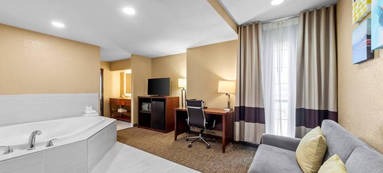 舒适套房酒店海洋世界-Lackland AFB(Comfort Suites SeaWorld - Lackland AFB)图片