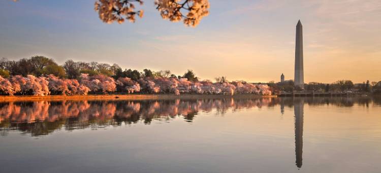 华盛顿万豪侯爵酒店(Marriott Marquis Washington, DC)图片