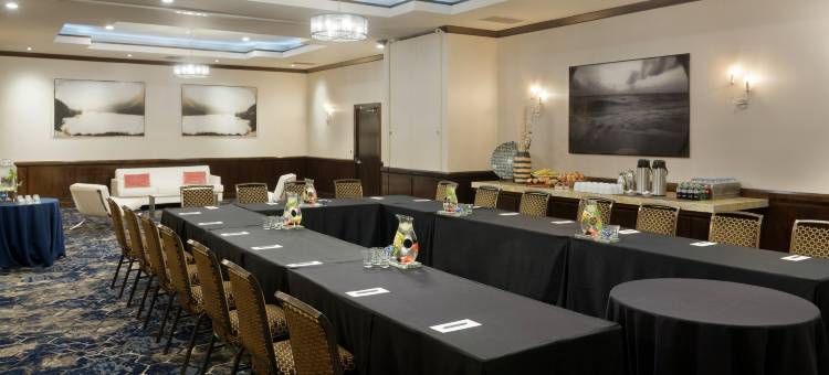库佩蒂诺朱尼伯格芮希尔顿精选酒店(Juniper Hotel Cupertino, Curio Collection by Hilton)图片