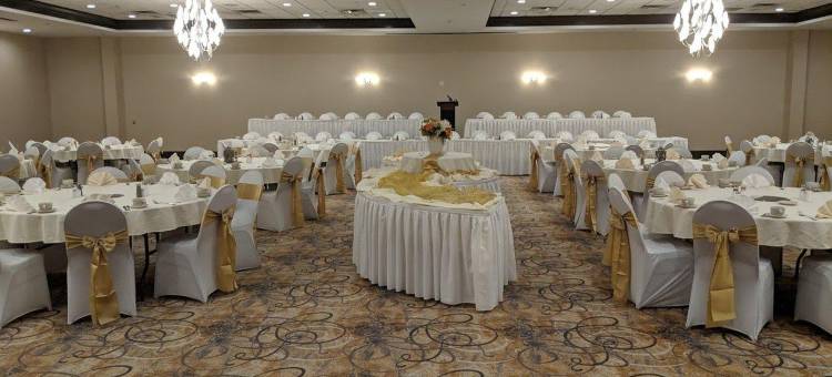 洲际酒店集团旗下尚佩恩假日酒店(Holiday Inn Champaign)图片