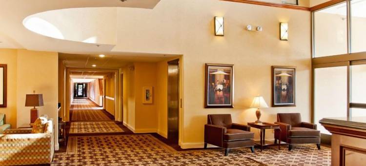 安阿伯丽晶套房酒店(Ann Arbor Regent Hotel and Suites)图片