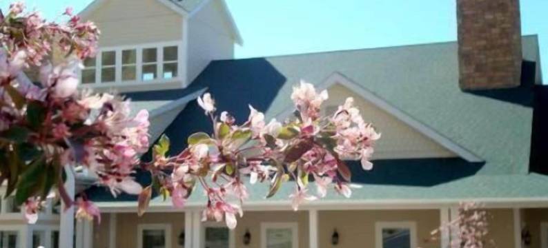 酒乡旅馆(Wine Country Inn)图片