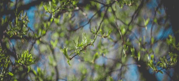 彭州福人居宾馆图片
