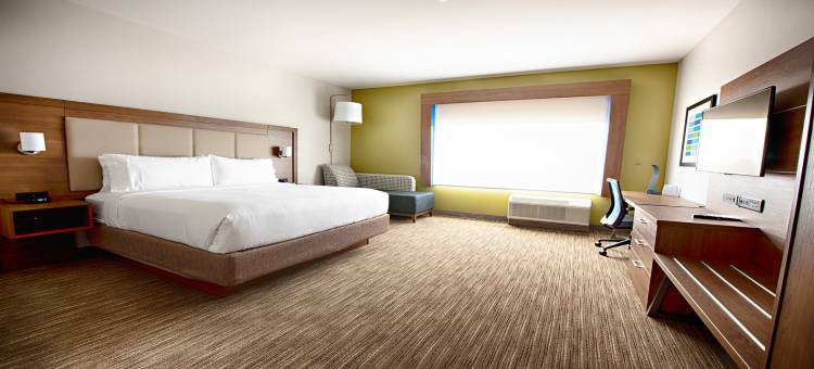 休斯顿西南加勒里亚区智选假日酒店及套房(Holiday Inn Express & Suites Houston SW - Galleria Area)图片