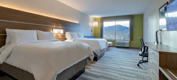 智选假日套房酒店马里恩 IHG(Holiday Inn Express & Suites Marion)图片