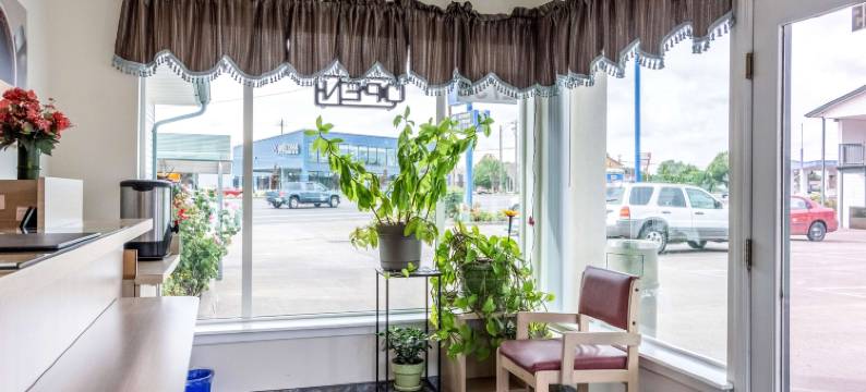 奥勒冈奥尔巴尼6号汽车旅馆(Motel 6 Albany, or)图片